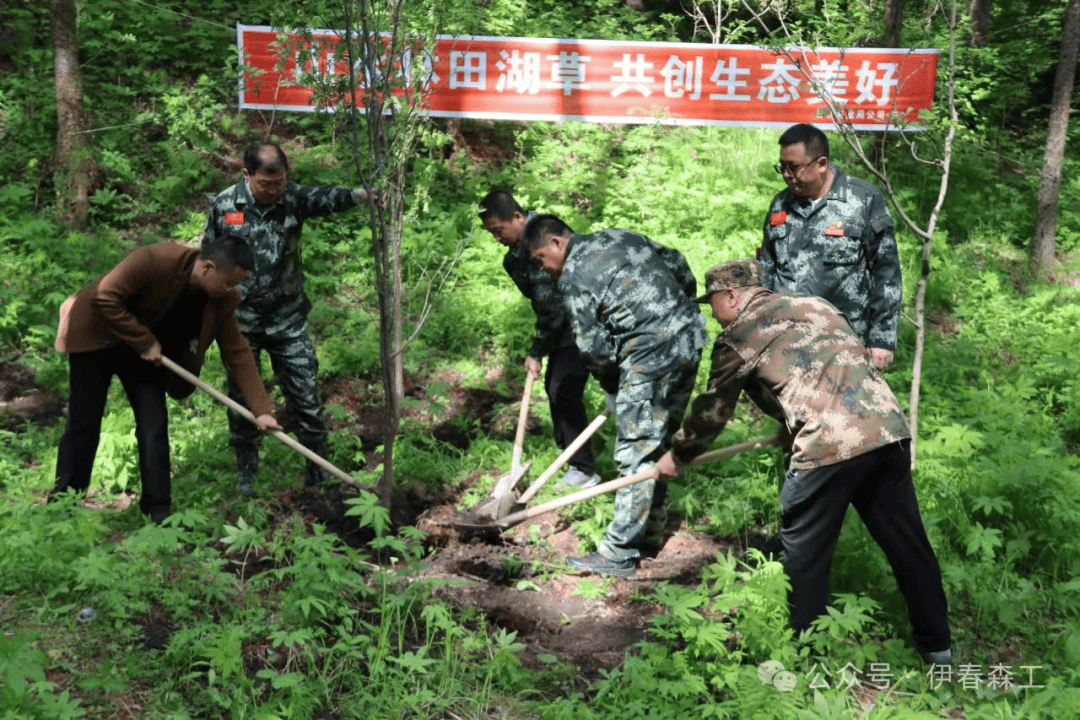 伊春市丰林县多元化服务平台的搭建与实践探索