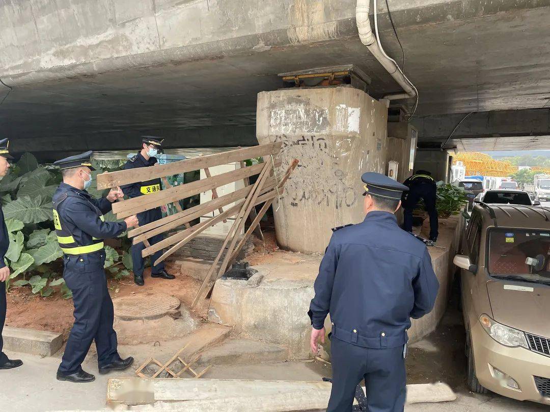 龙舟侵占桥下空间，执法挑战与人性化执法之道