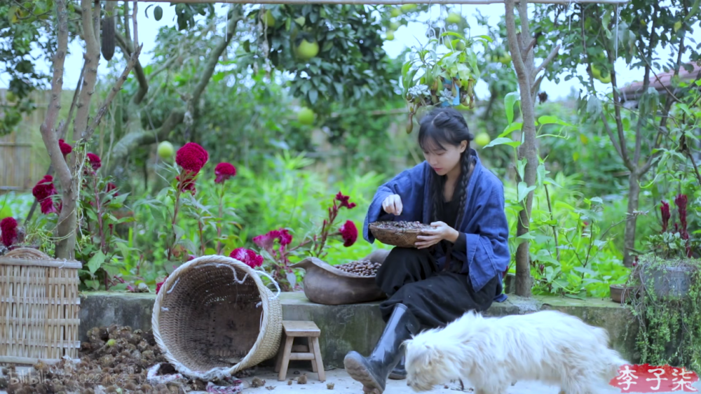 李子柒回应全国文旅邀请，传统与现代交融的美好愿景