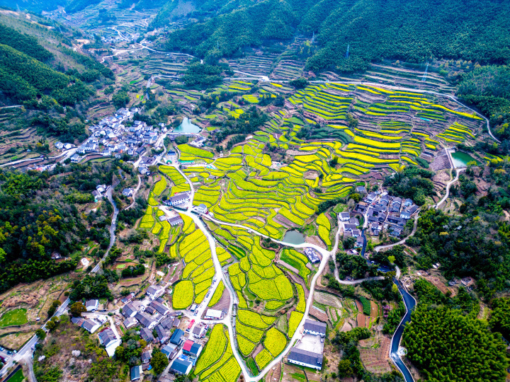 南马沿线美景，脚步丈量，探索无限风光