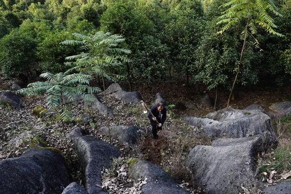 古老梯田下的种子银行，播种希望，收获未来