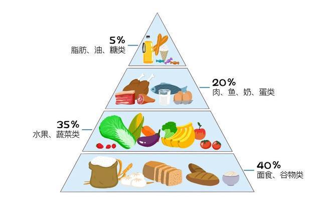 如何通过饮食调整解决体力不足问题？