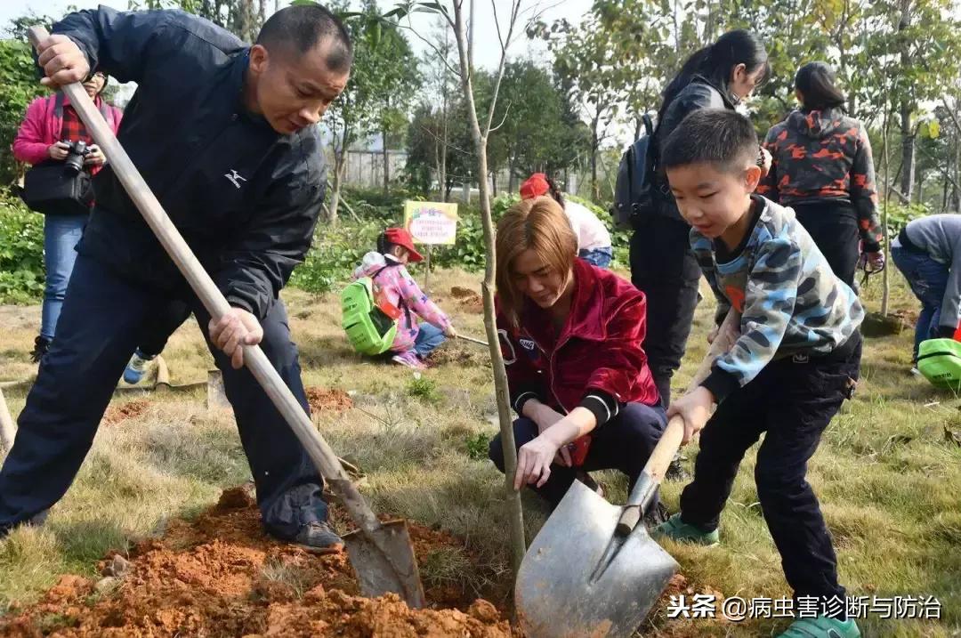 共享经济模式吸引年轻消费者之道