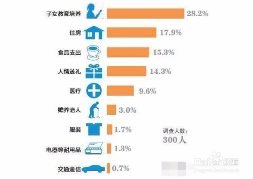 打造节约型家庭，优化支出与节省日常开销的指南