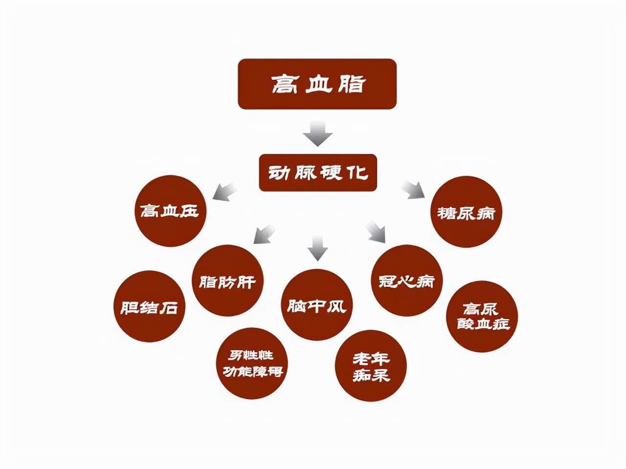 中医预防高血脂的策略与实践