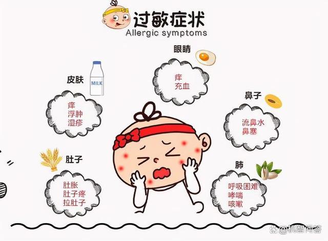 养生食谱，缓解过敏症状的有效方法