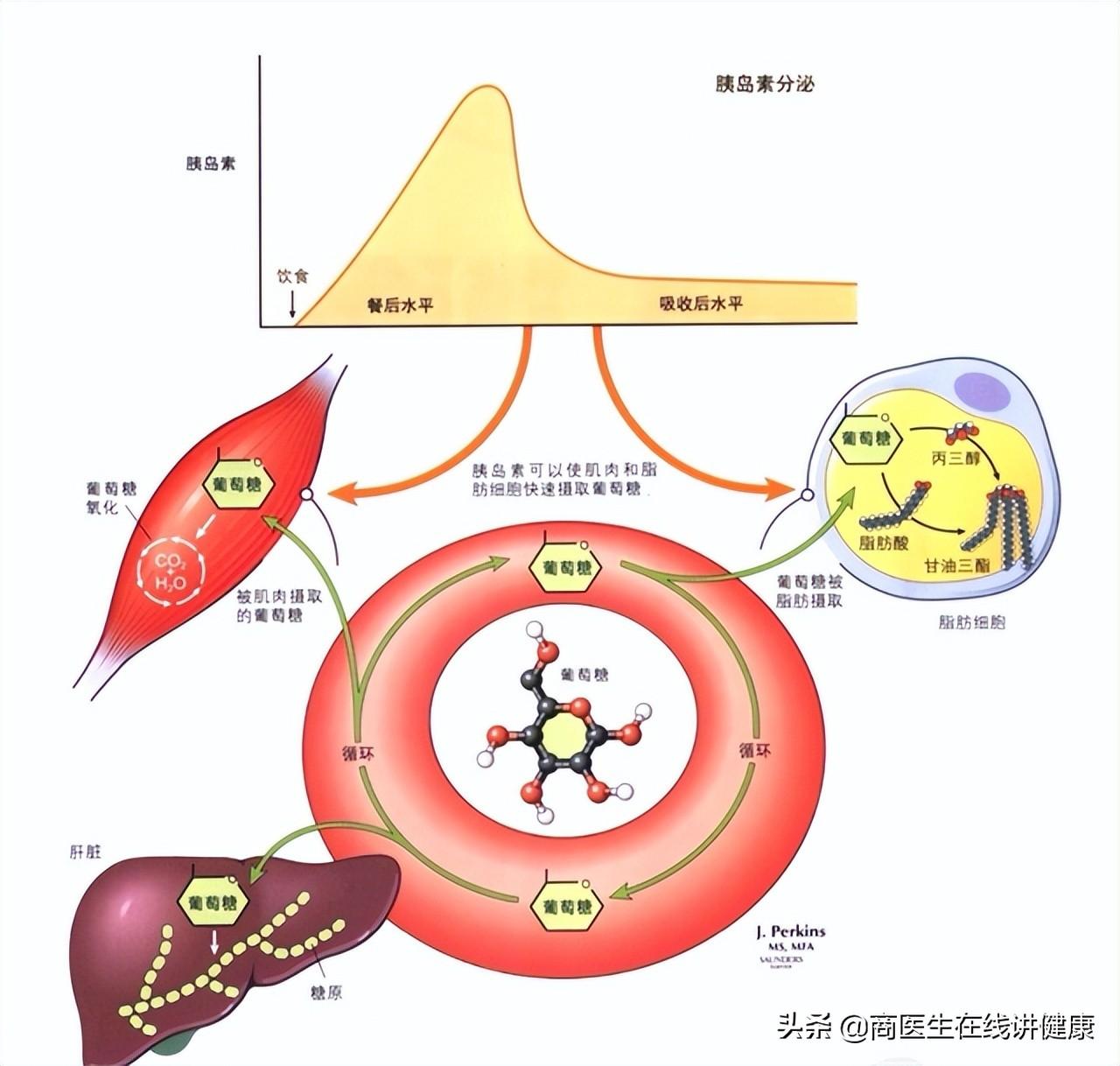 养生食谱，预防糖尿病并发症攻略