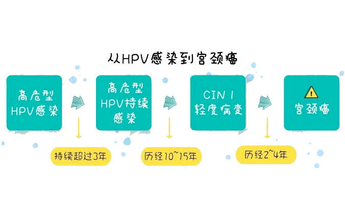 HPV病毒，理解与应对之道