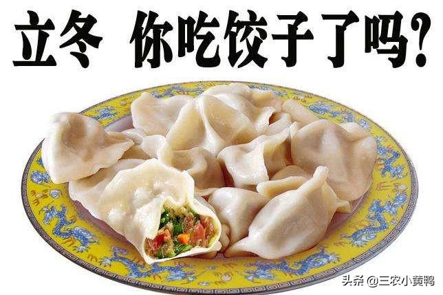 立冬与冬至，饺子食用时机探讨