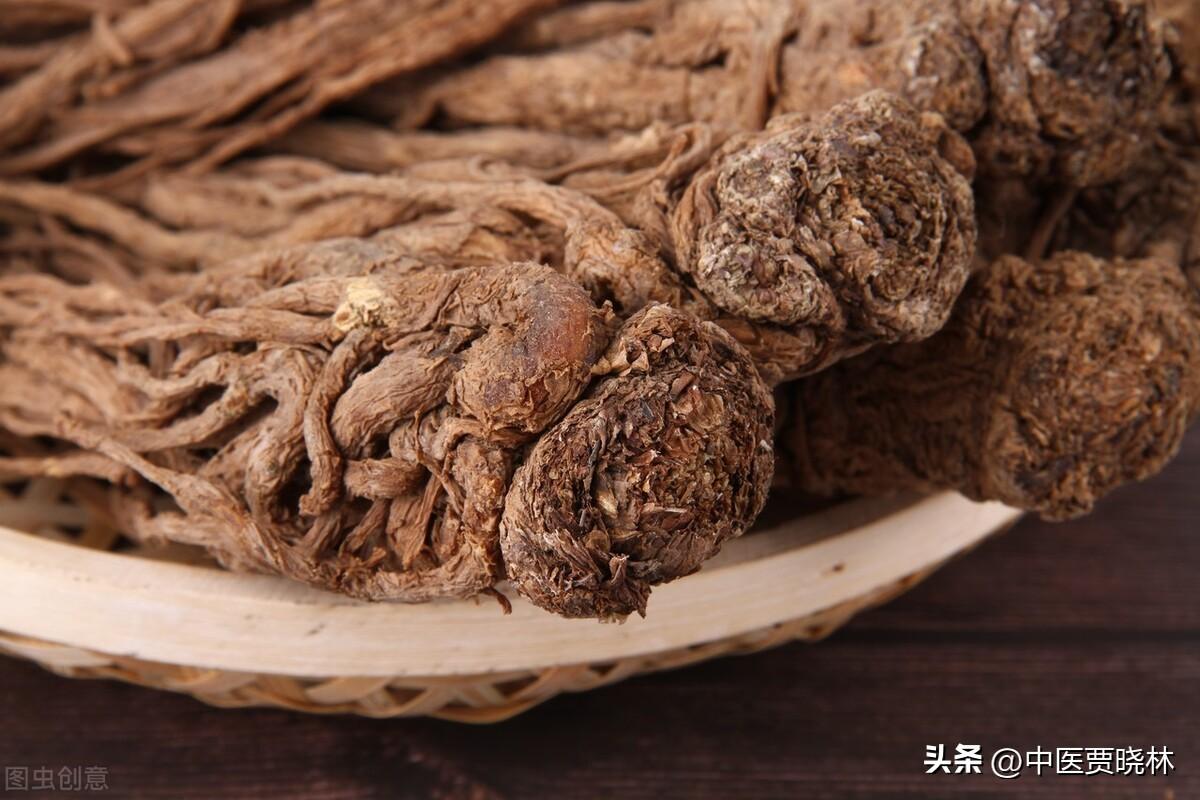 芍药中药的称谓与独特价值解析