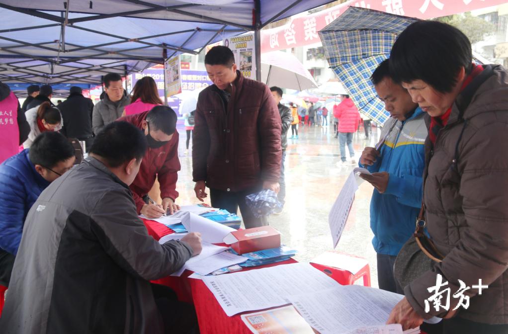 阳山专场招聘会成果丰硕，近800人达成就业意向，吸引三千人求职热潮