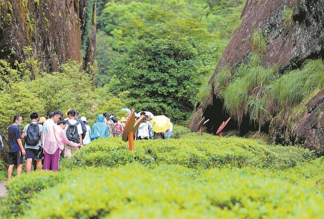 福建南平，环武夷山国家公园助力全域经济生态繁荣发展带建设