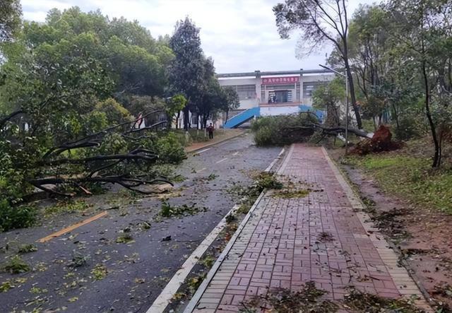 华东政法大学，江河之滨的绿色生态与人文景观交相辉映的学府胜地