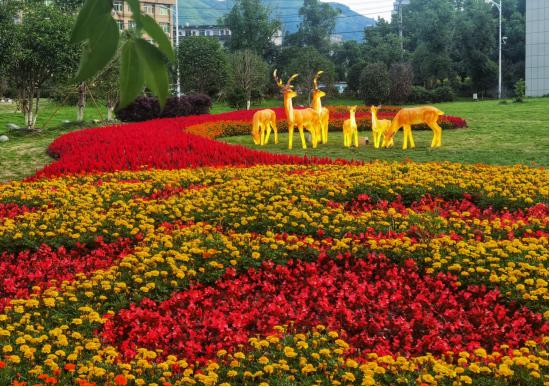 旅游体验师探寻温州平阳古韵新景，历史回响与现代魅力的交织之旅