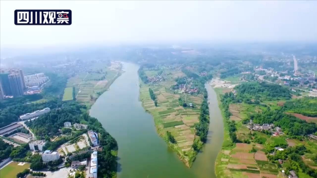 A股市场繁荣脉搏，大千生态九连板荣光独揽涨停潮涌现