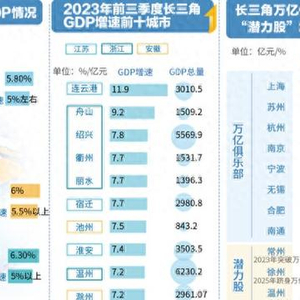 央视财经长三角经济指数揭示区域发展新动力