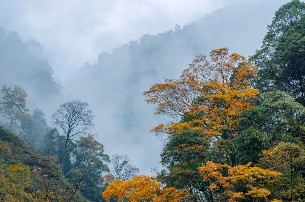 北京小众游玩地秋景惊艳，轻松赏美景，美不胜收！